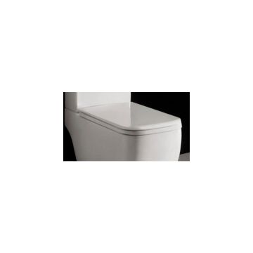 Capac wc softclose Rak Ceramics Metropolitan