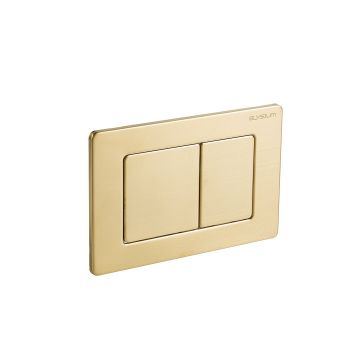 Clapeta cu actionare dubla AC-BA, cu doua volume, din otel inoxidabil, tip H, 24 cm, auriu periat, Elysium Clapeta cu actionare dubla AC-BA, cu doua volume, din otel inoxidabil, tip H, 24 cm, auriu periat, Elysium