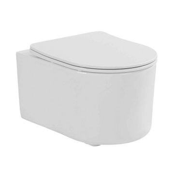 Set vas wc suspendat rimless si capac softclose Quick Release Fluminia Roco
